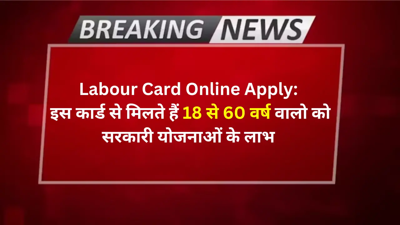 labor card online apply