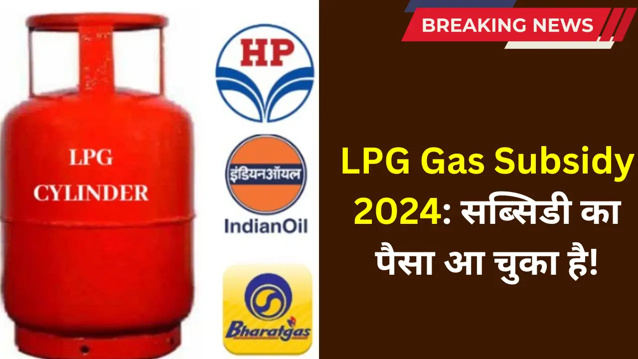 LPG gas subsidy